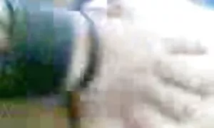मलय कार्य 5 1 गुदा ए ...